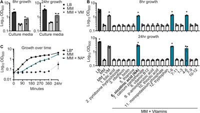 Frontiers | A nadA Mutation Confers Nicotinic Acid Auxotrophy in